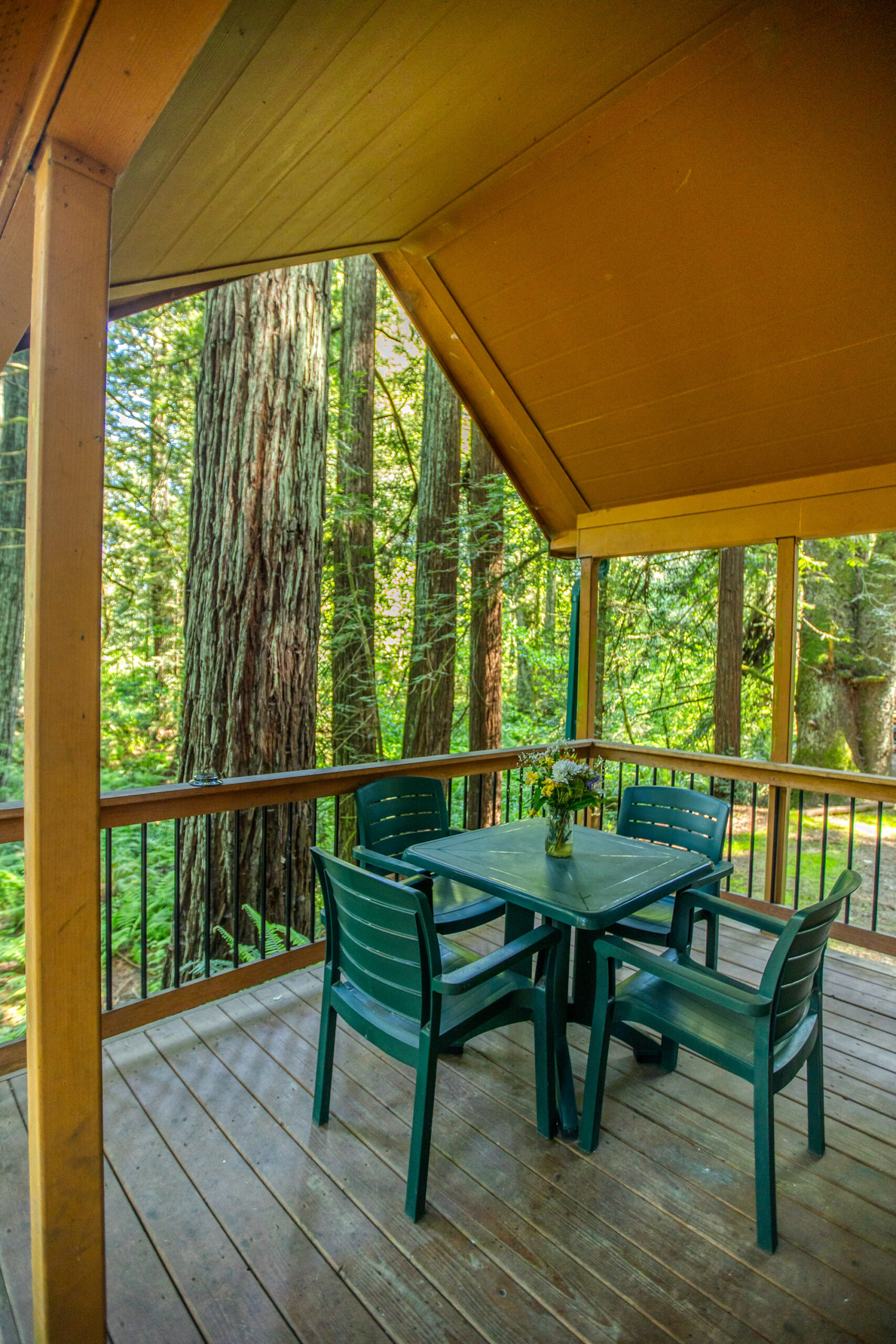 Cabins at Ramblin' Redwoods Crescent City, CA Rentals Ramblin' Redwoods